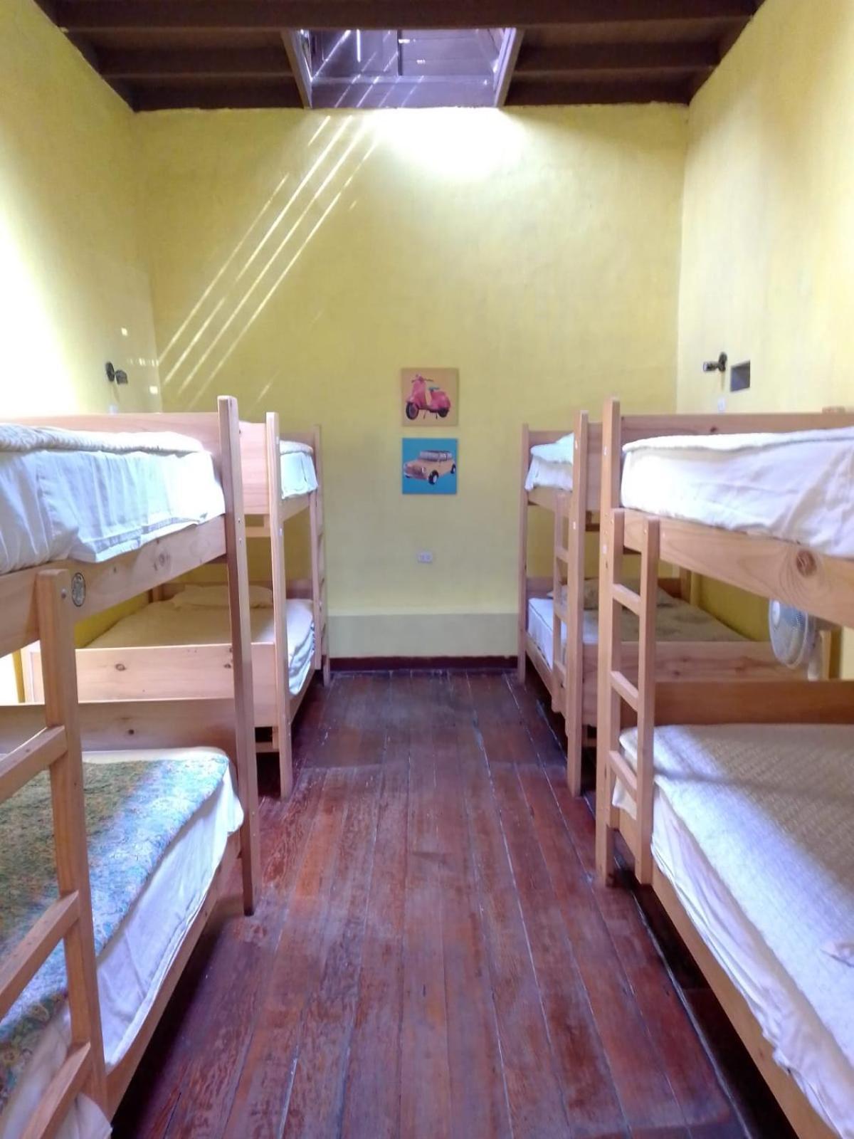 Wild Olive Guest House Ica Kültér fotó